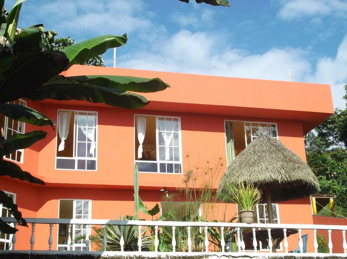 Hostal Tena Naui Экстерьер фото